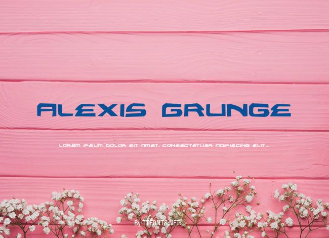 Alexis Grunge example